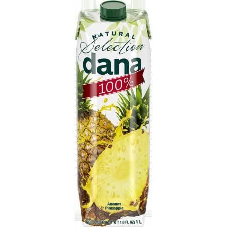 SUCCO ANANAS 100% L. 1