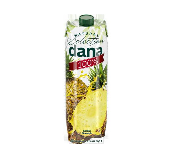 SUCCO ANANAS 100% L.1